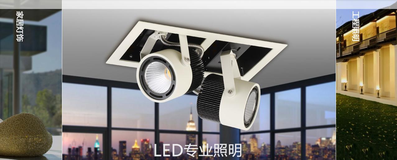 新特丽照明