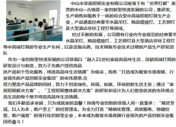 中山市菲雨照明实业有限公司