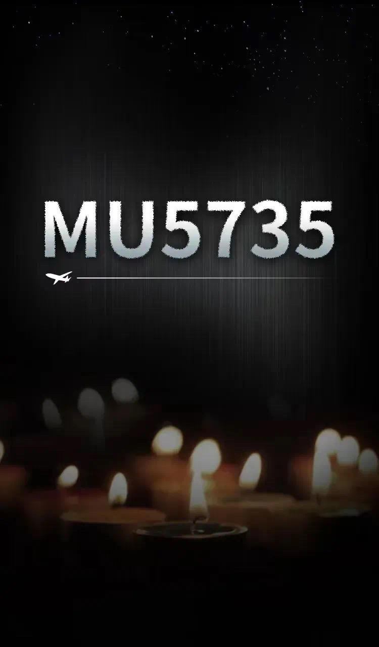 致哀！东航MU5735航班上人员已全部遇难