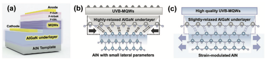 日德两高校科研团队推出蓝光可转换为UVB光的新方法